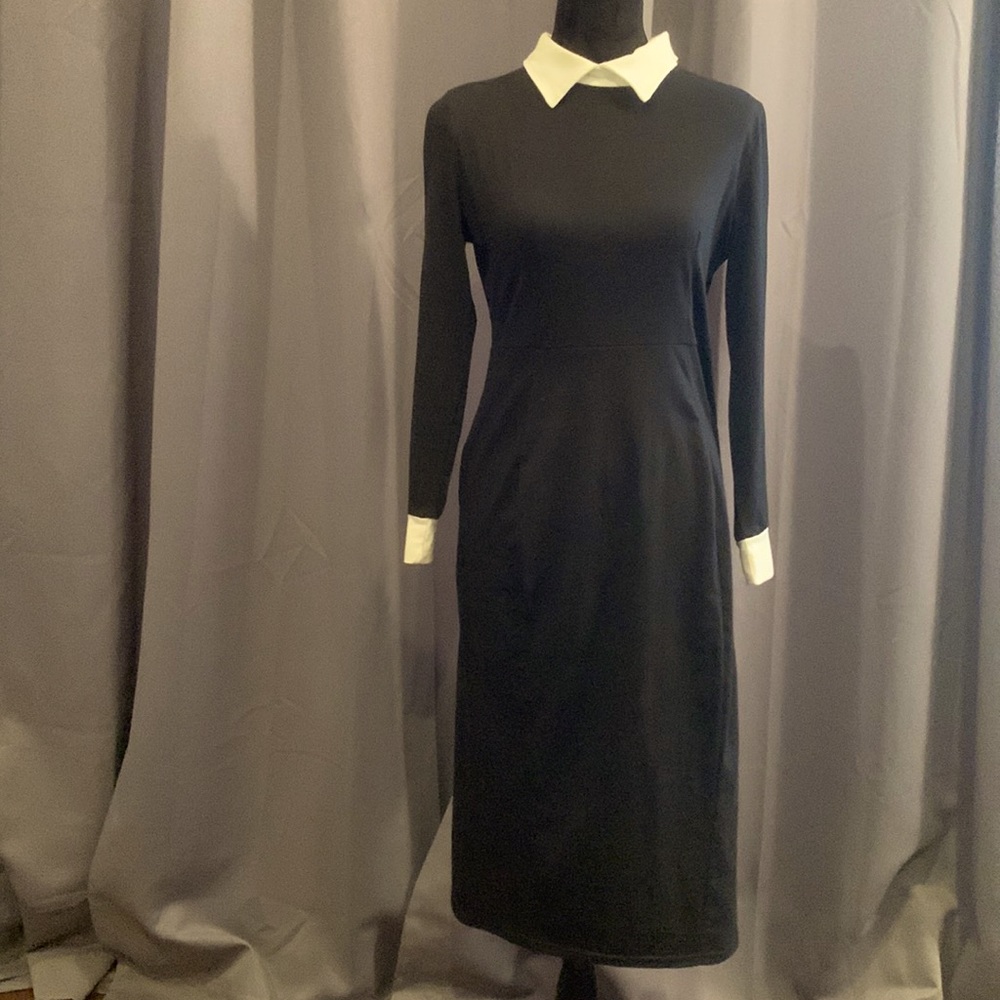 Amika Black and White Collared Dress